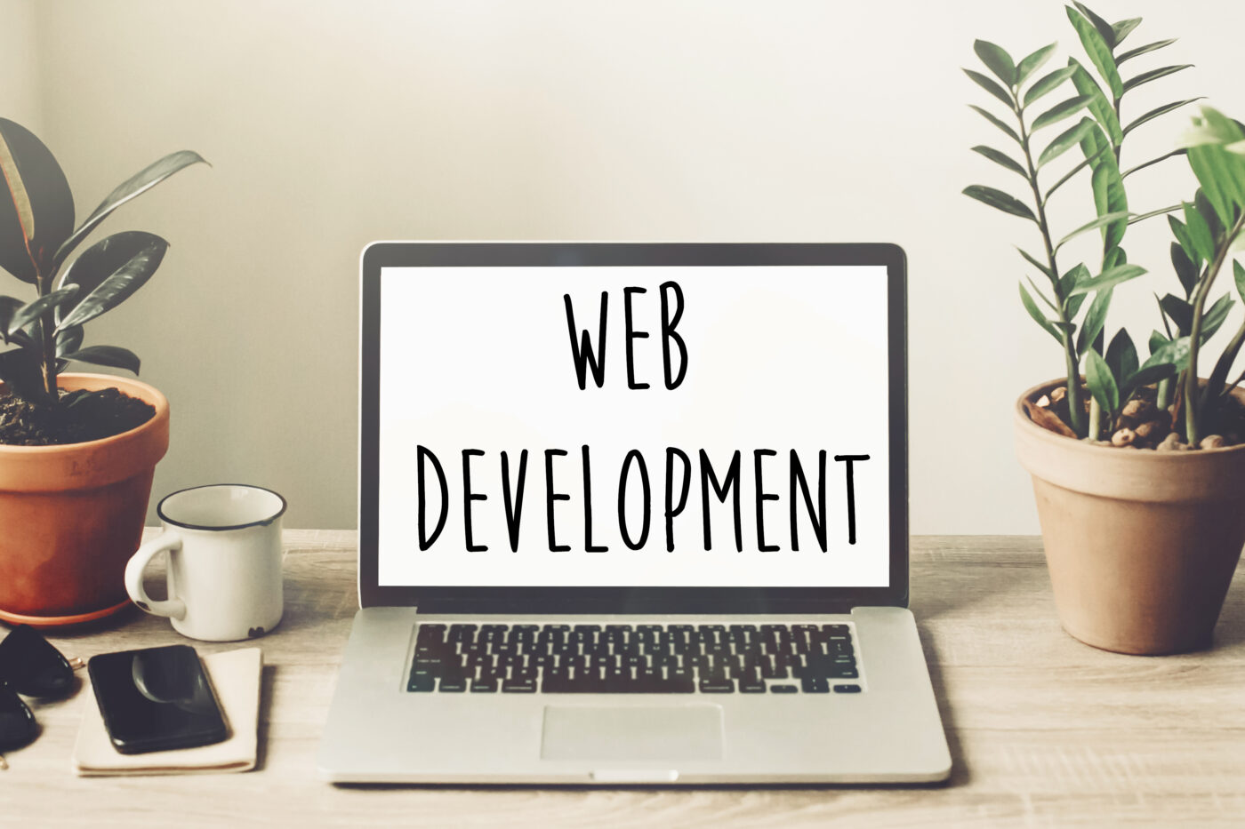 Website Development